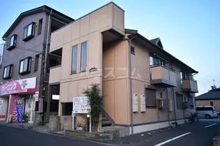 ONLY ONE しまのの画像