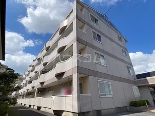 プルミエールの画像