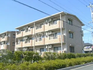 ハウスグラミーIIの画像