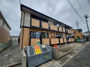 エヴァーグリーンBの画像