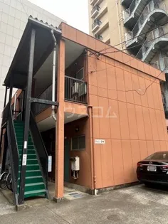 ハイムマキの画像