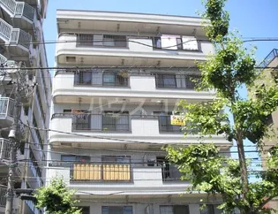 ロイヤルパールの画像