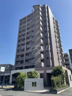 パラシオの画像