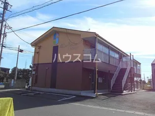 サープラスワンオオシマの画像