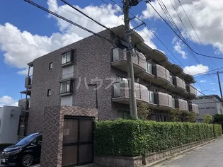 フォーレストの画像