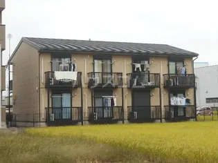 サン FRIENDSF丹羽の画像