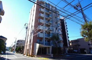 ルクソール スターの画像