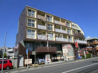 P LIMEの画像
