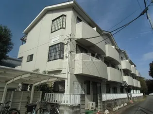 ホワイトマンション【309号室】の外観