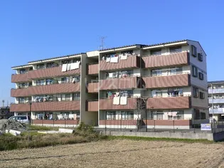 メゾン ド N1の画像