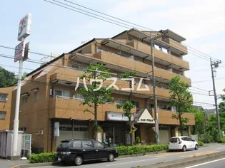 シャトルブラウンAの画像