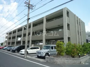 アニマートの画像