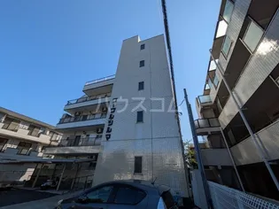 ブーブル ツルマの画像