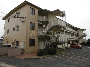 メゾン新日本の画像