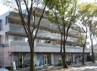 キャクタス柿の木台の画像