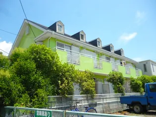 アネッサ2の画像