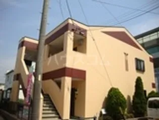 ステラ フィオーレの画像