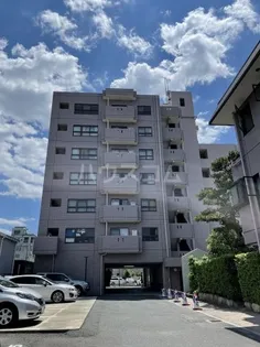 グレース川村の画像