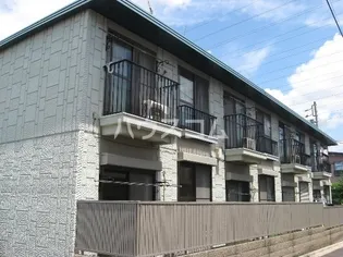 スペースカトレアの画像