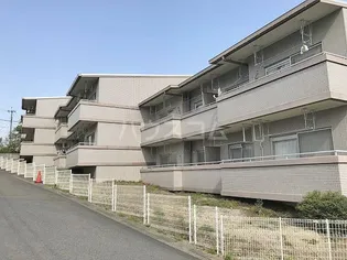 アイビー青葉台の画像