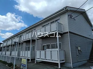 SURPLUS野菊の画像