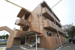 ユーミースズカの画像