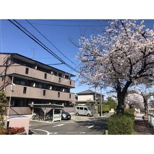 プチメゾン稲生の画像