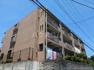 ライネスハイムIIの画像