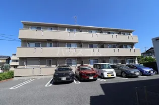 コルティーの画像