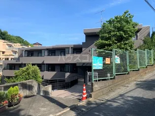 サンスーシーの画像