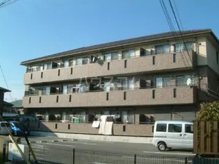 プリムローズの画像