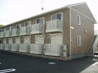 バードウィングの画像