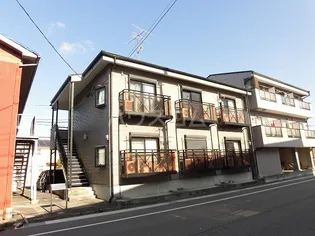 チェリーブロッサムの画像
