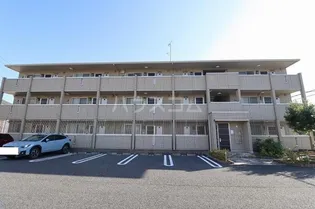 プリムローズの画像