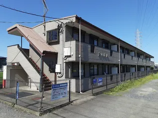 シャルムの画像