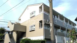 アデナック14の画像