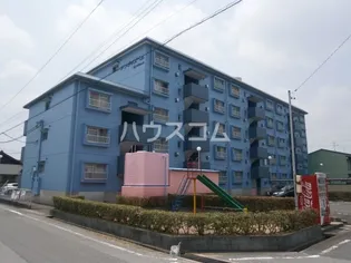 サンライズベルの画像