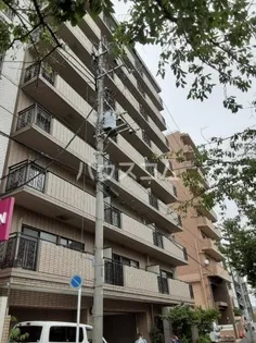 バイムフルス白金Iの画像