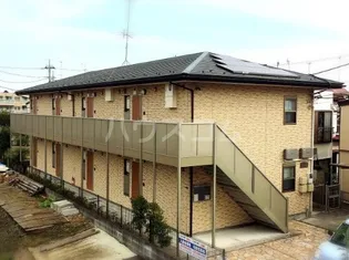 アムールマレの画像