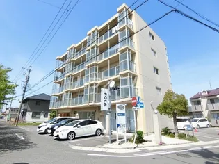 GRACE IN 桜並木の画像