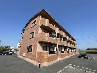 TSーMINDⅡの画像