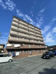 サザンクロスの画像