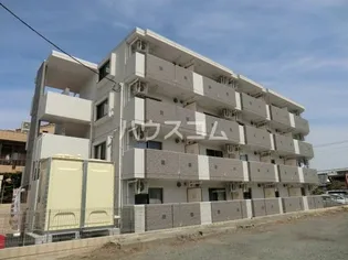 グリシーヌの画像