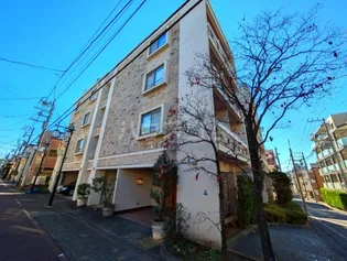 フロントリーの画像