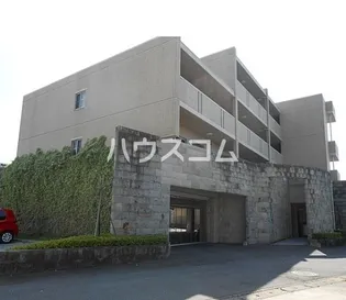 ラ ミノールIIの画像