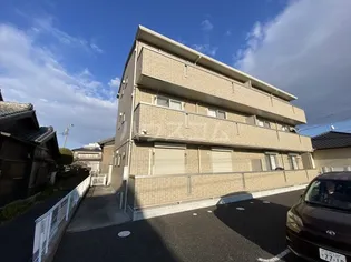 アムール中手の画像