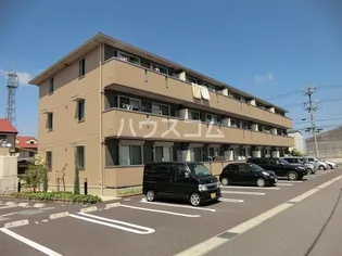 スタースレイプの画像