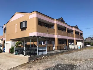 リアルコンフォートの画像