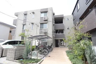 ルピナスVIIの画像