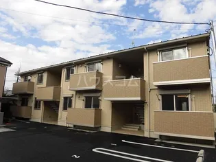 プラシードの画像